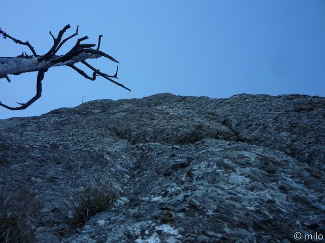 catarare fisura rasucita (25)